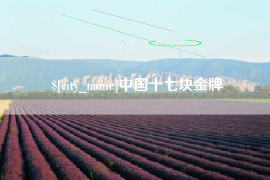 清镇中国十七块金牌