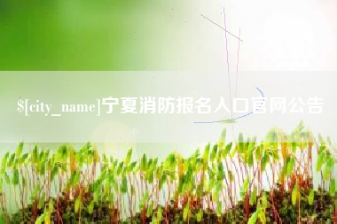 清镇宁夏消防报名入口官网公告