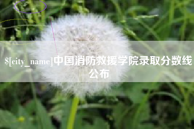 清镇中国消防救援学院录取分数线公布