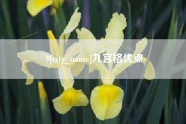 清镇九宫格优点