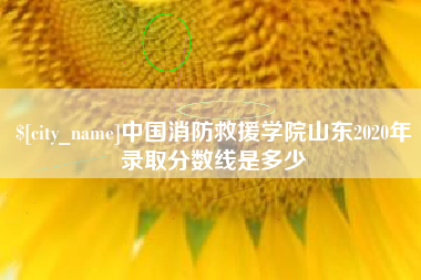 清镇中国消防救援学院山东2020年录取分数线是多少