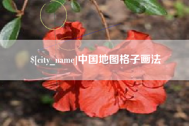 清镇中国地图格子画法