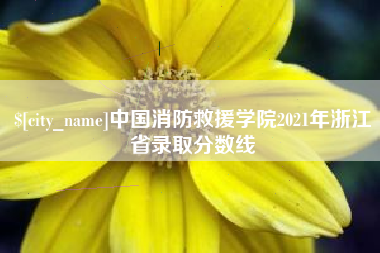清镇中国消防救援学院2021年浙江省录取分数线