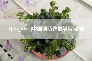 清镇中国消防救援学院 老师