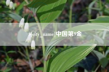 清镇中国第9金