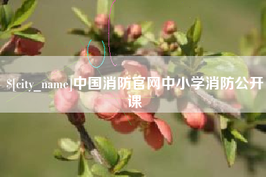 清镇中国消防官网中小学消防公开课