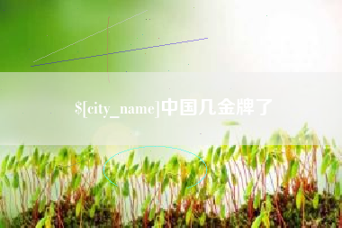 清镇中国几金牌了