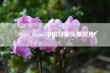 清镇中国冠军头像图片