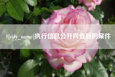 清镇执行信息公开网查到的案件