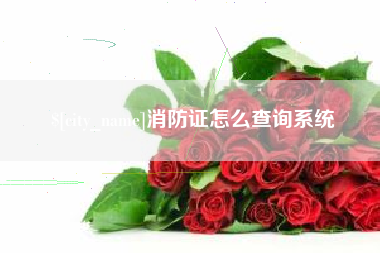 清镇消防证怎么查询系统