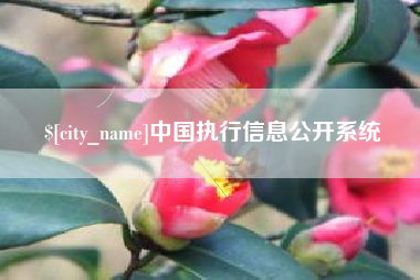 清镇中国执行信息公开系统