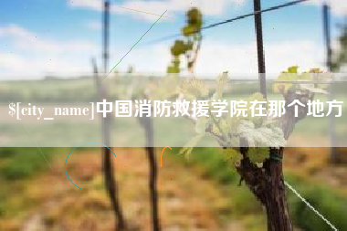 清镇中国消防救援学院在那个地方
