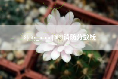 清镇2021消防分数线