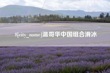 清镇温哥华中国组合滑冰
