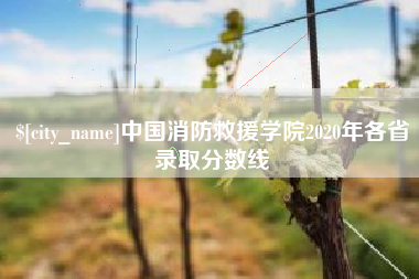 清镇中国消防救援学院2020年各省录取分数线