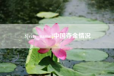 清镇中国夺金情况