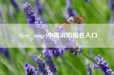 清镇中国消防报名入口