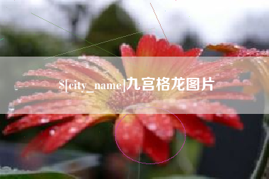清镇九宫格龙图片