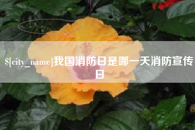 清镇我国消防日是哪一天消防宣传日
