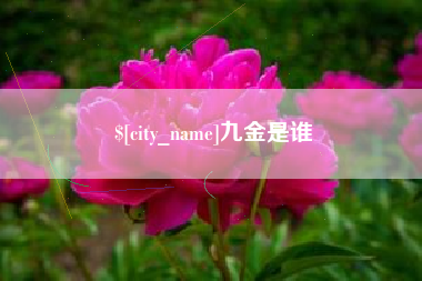 清镇九金是谁