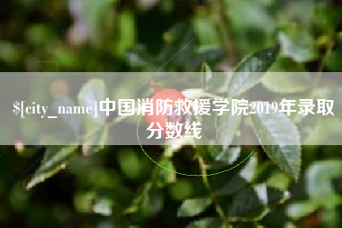 清镇中国消防救援学院2019年录取分数线