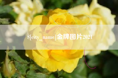 清镇金牌图片2021