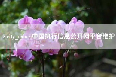 清镇中国执行信息公开网平台维护