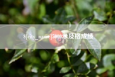 清镇5000米及格成绩