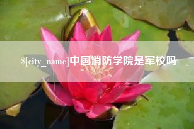 清镇中国消防学院是军校吗