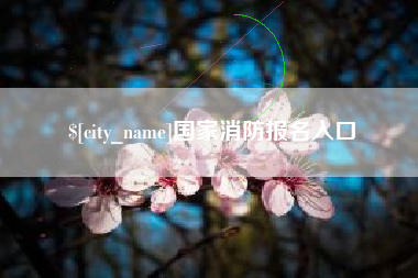 清镇国家消防报名入口