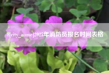 清镇2025年消防员报名时间表格