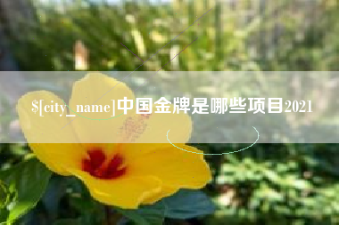 清镇中国金牌是哪些项目2021