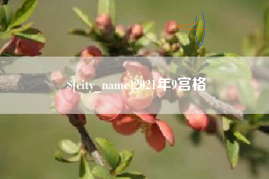 清镇2021年9宫格