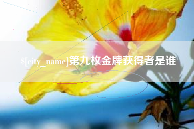清镇第九枚金牌获得者是谁