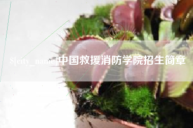 清镇中国救援消防学院招生简章