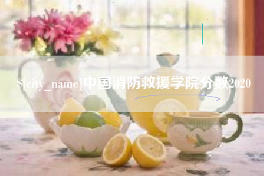 清镇中国消防救援学院分数2020