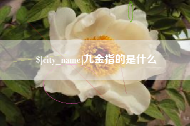 清镇九金指的是什么