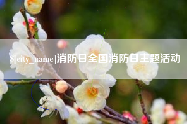 清镇消防日全国消防日主题活动