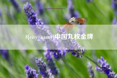 清镇中国九枚金牌