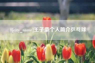 清镇王子豪个人简介乒乓球