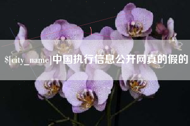 清镇中国执行信息公开网真的假的