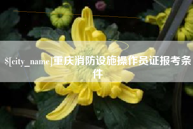 清镇重庆消防设施操作员证报考条件