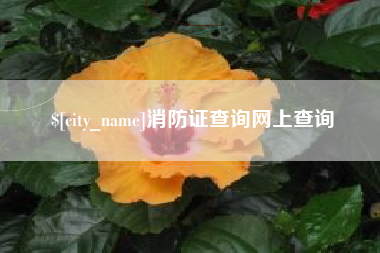 清镇消防证查询网上查询