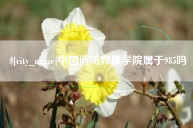 清镇中国消防救援学院属于985吗
