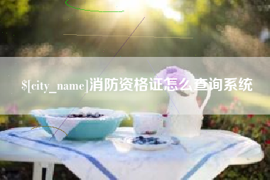 清镇消防资格证怎么查询系统