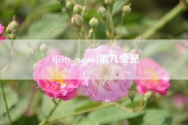 清镇第九金是