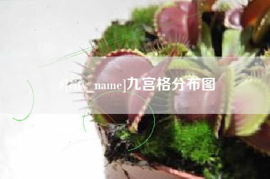 清镇九宫格分布图
