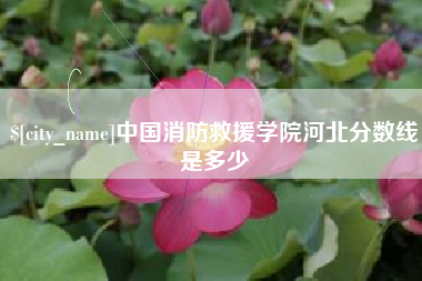 清镇中国消防救援学院河北分数线是多少