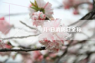 清镇11月9日消防日全称