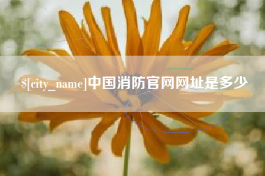 清镇中国消防官网网址是多少